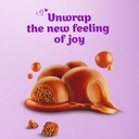Cadbury Dairy Milk Bubbly (120g)