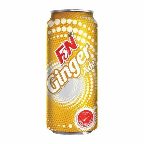 F&N Ginger Ale 325ml
