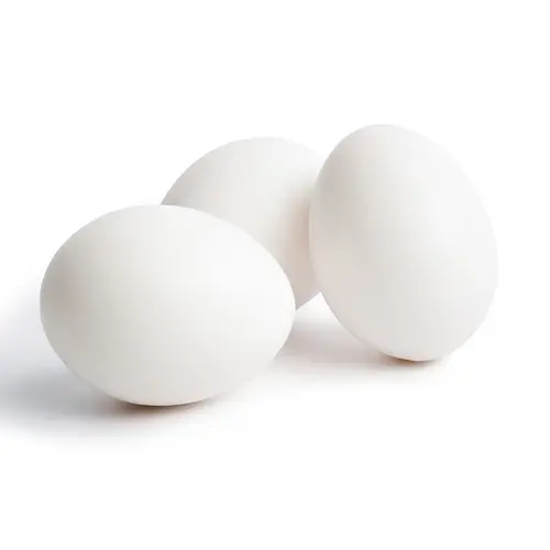 White Eggs