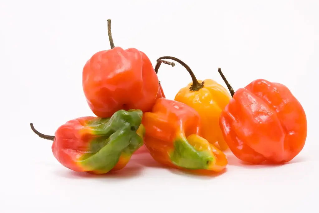 Scotch Bonnet (local)