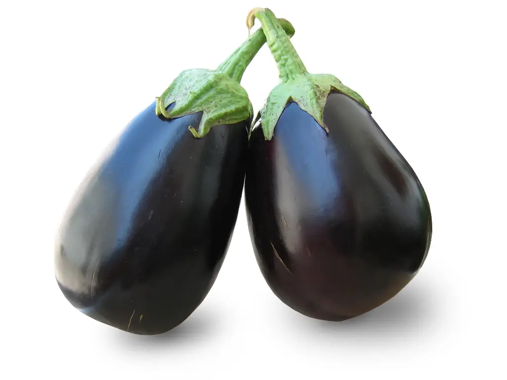 Eggplant Round KE Farms
