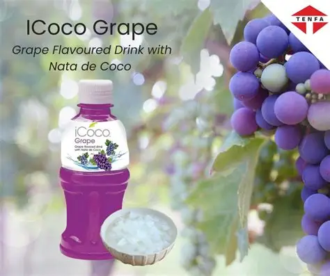 iCoco Grape 500 ml 