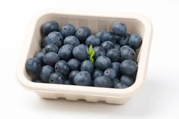 NL- BLUEBERRY TRAY 125G