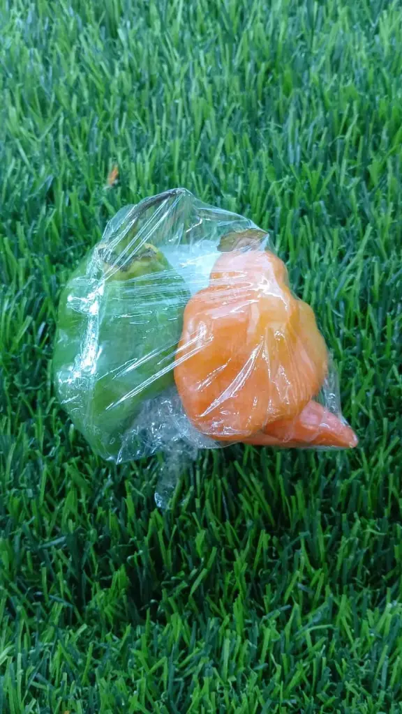 Scotch Bonnet (Local) 2 Pcs Pack -(Approx. 20g)  
