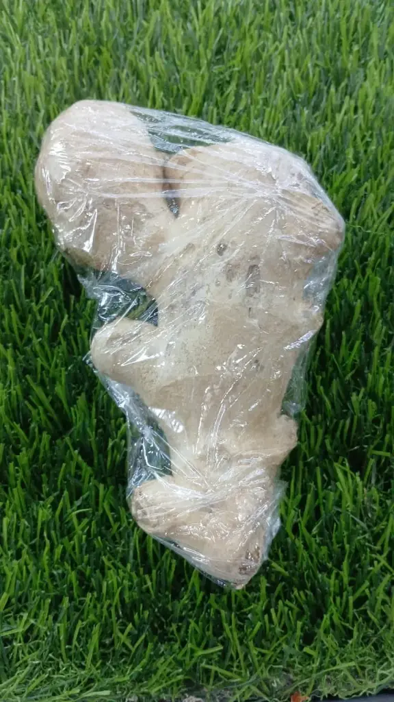Ginger (China) -1 PC (Approx. 245g) 