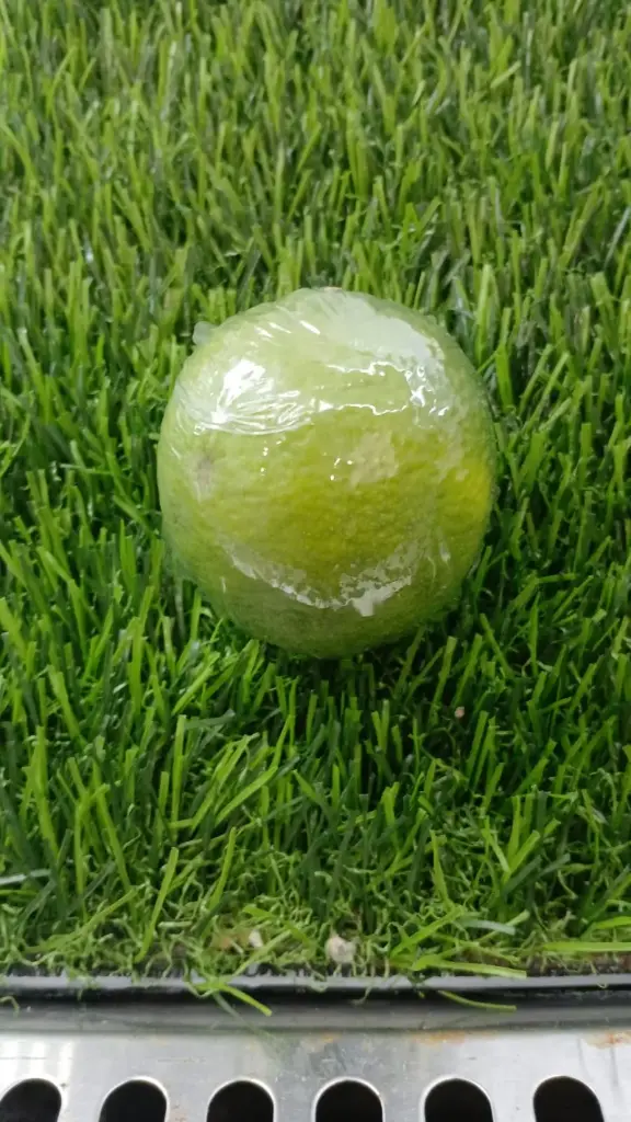 Lime (India) 1 Pc Pack - (Approx. 100g) 