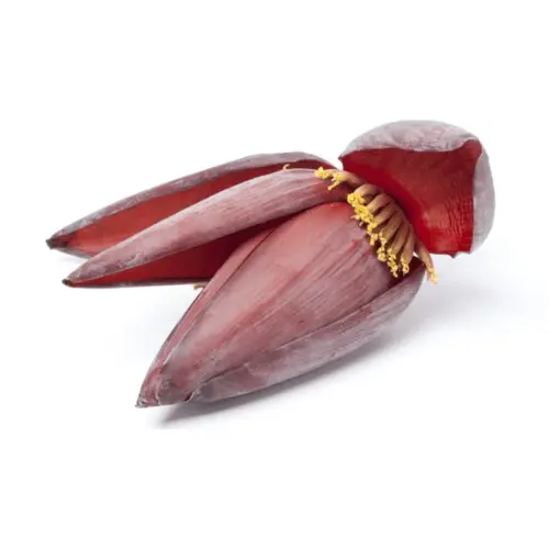 Banana Flower