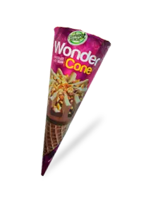 Elephant House Wonder Cone Chocolate Ice Cream