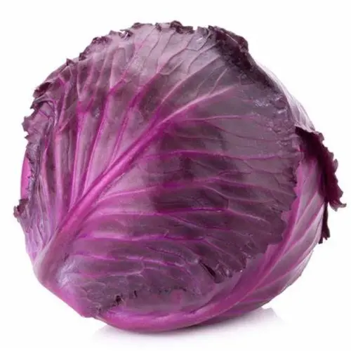 Cabbage Red