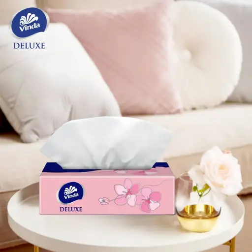 VINDA FACIAL TISSUE BOX 2PLY 100 SHT