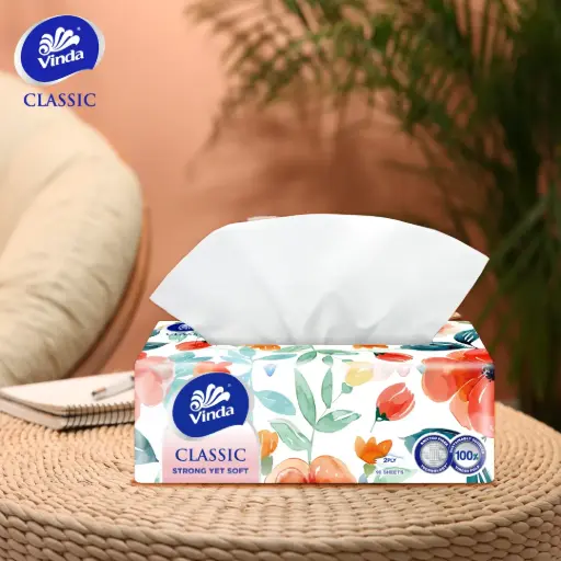 Vinda Facial Tissue Box 2 Ply 200 Sheet