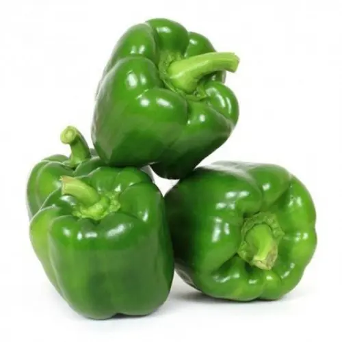 Bell Pepper Green