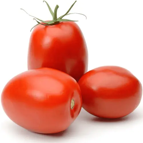 Tomato (India)