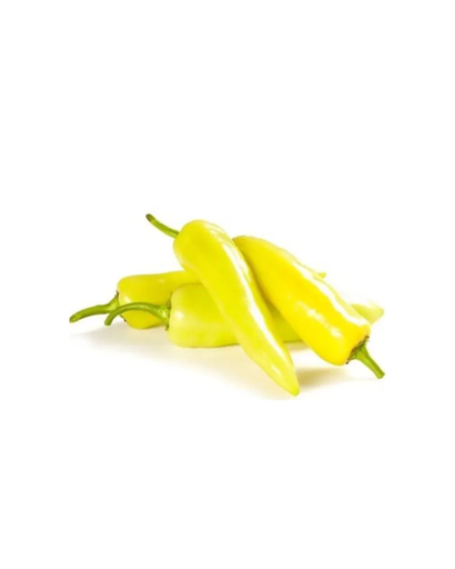 Capsicum (India)