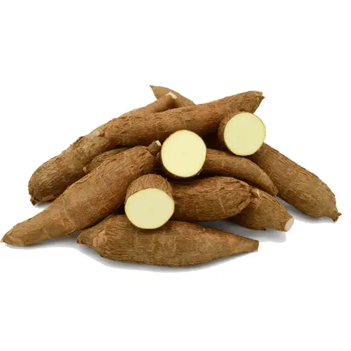 Cassava