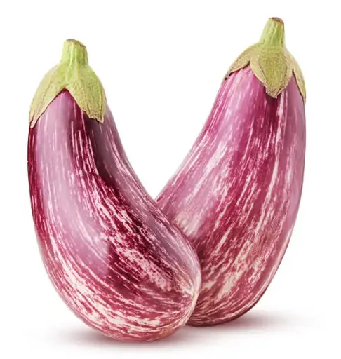 Brinjal Round  (India)