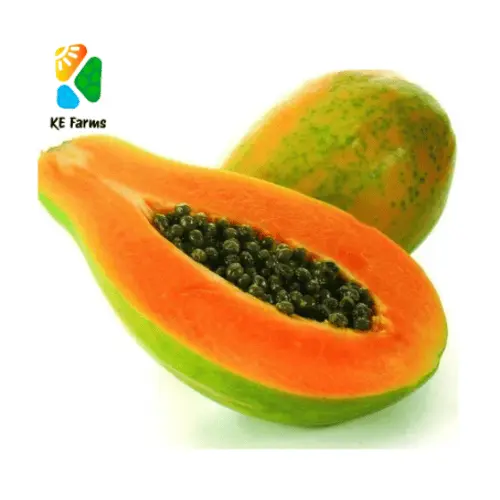 Papaya Red Lady (KE Farms