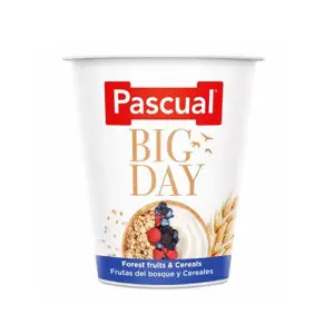 PASCUAL YOGURT BIG DAY FOREST FRUIT & CEREALS 125GM