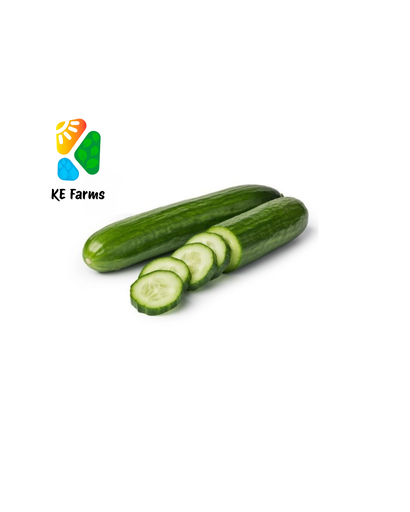 Chinese Cucumber KE Farms