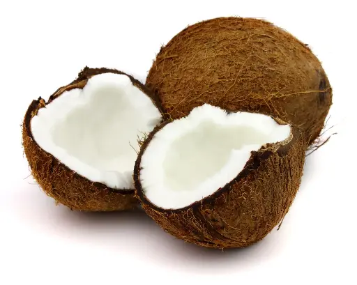 Coconut (Small)