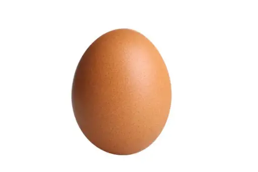 Brown Egg