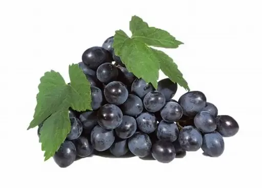 Grapes Black