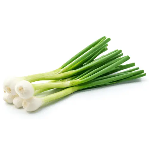 Spring Onion (Sri Lanka)