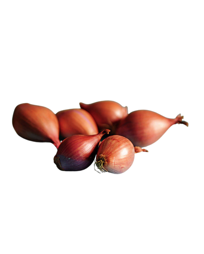 Red Shallot Onion (Sri Lanka)